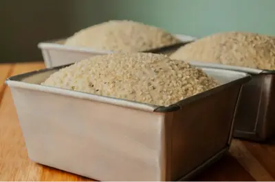 proofing industrial bakeries